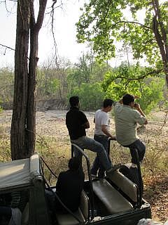 Safari in Noord-India
