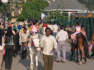 paard huren Shimla