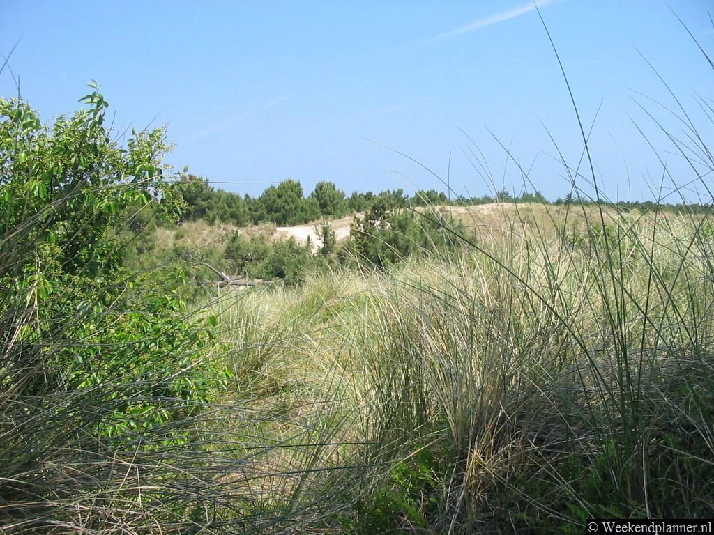 Vlieland heeft prachtige natuurgebieden.  Als de zon ook maar een beetje schijnt kun je hier in een duinpan in de zon liggen.   Een weekend naar Vlieland.