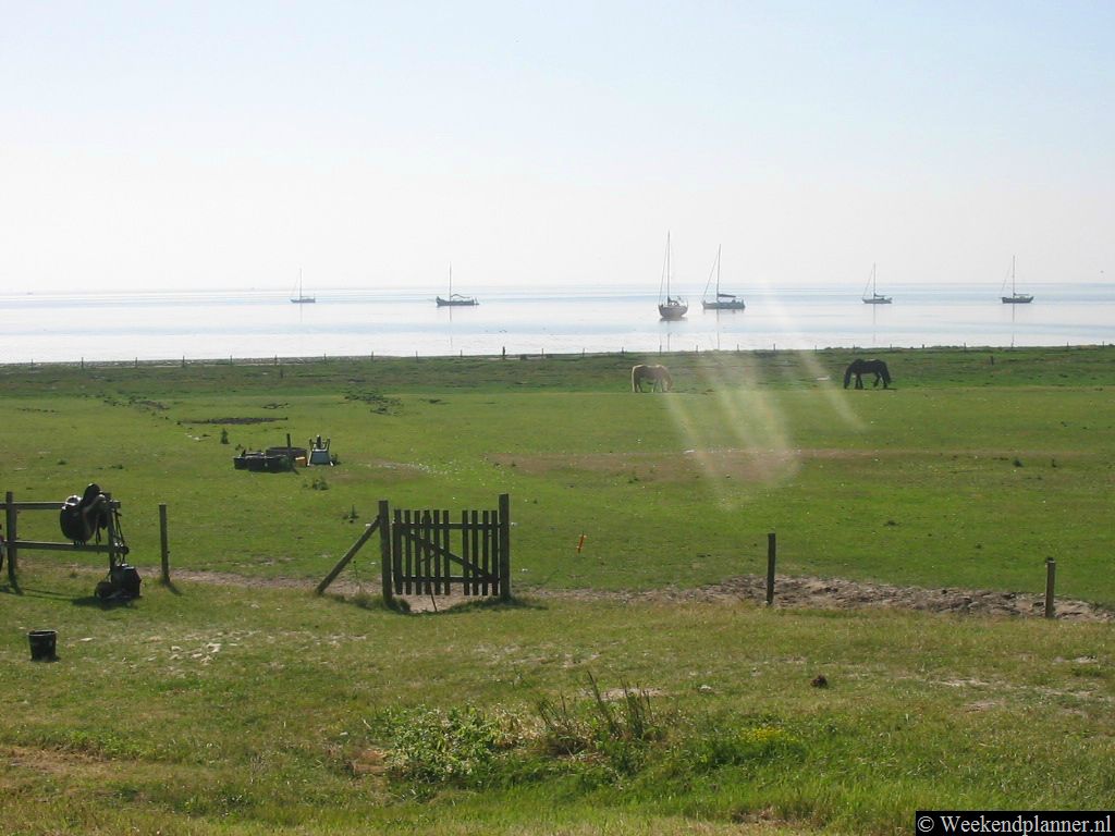 Bij laag water laten veel schepen zich op het Wad droogvallen.   Een weekend naar Vlieland.