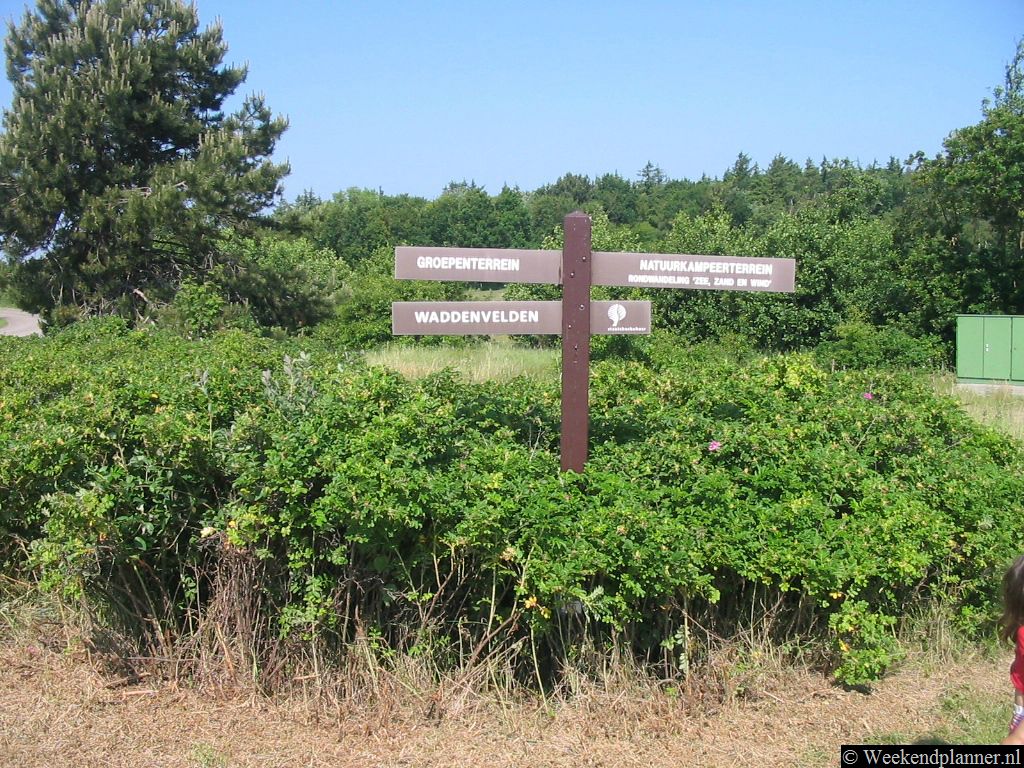 Natuurcamping de Lange Paal van Staatsbosbeheer ligt aan de Postweg, ongeveer 3 km van het dorp Oost-Vlieland. Er is ook een trekkersveld waar altijd plaats is en je dus niet hoeft te reserveren. Je mag op dat veld overigens maar drie dagen staan.   Een weekend naar Vlieland.