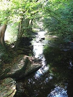 Spa beekje
