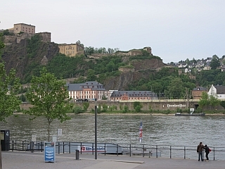 De Rijn