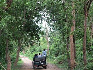 Corbett National Park
