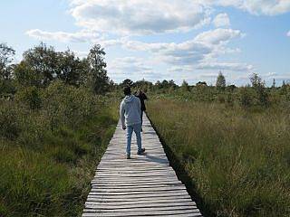 wandelen Peel