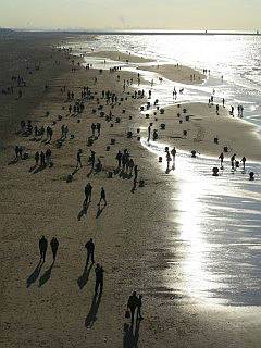 strand