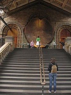  Natural History Museum in Londen