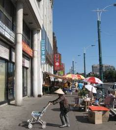 Spandina Avenue