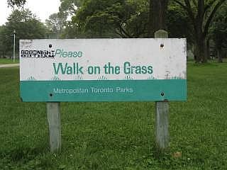 Toronto eiland