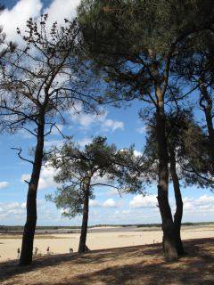 Drunense Duinen