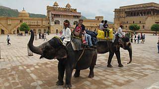 Amber Fort