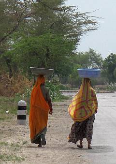 Rajasthan