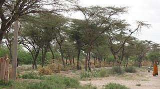 foto's Rajasthan