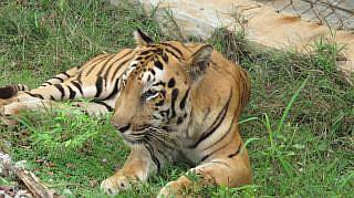Bangalore safaripark