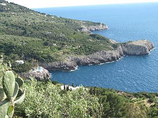 Capri