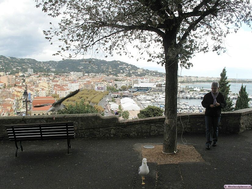Op de top van de heuvel Suquet heb je een prachtig uitzicht op de stad en de baai van Cannes. Als je niet wilt lopen dan kun je ook met het toeristentreintje vanaf de halte op La Croisette naar de top van de heuvel.Tips: De attracties van Cannes.