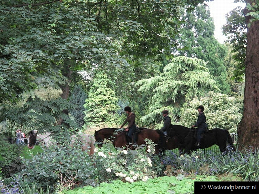 In Hyde Park zijn twee maneges waar u paarden kunt huren. Tips: De attracties van Hyde Park.