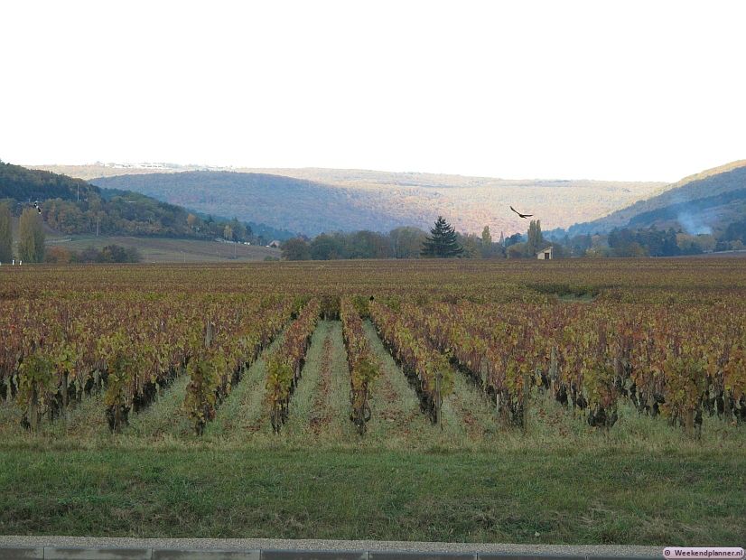 De weg N74 loopt tussen Beaune en Dijon door de wijngaarden van de wijnregio Côte de Nuits. Het is een prachtig open landschap met leuke dorpen en natuurlijk veel wijnkelders.  Tip: De wijnroute door Bourgondië.