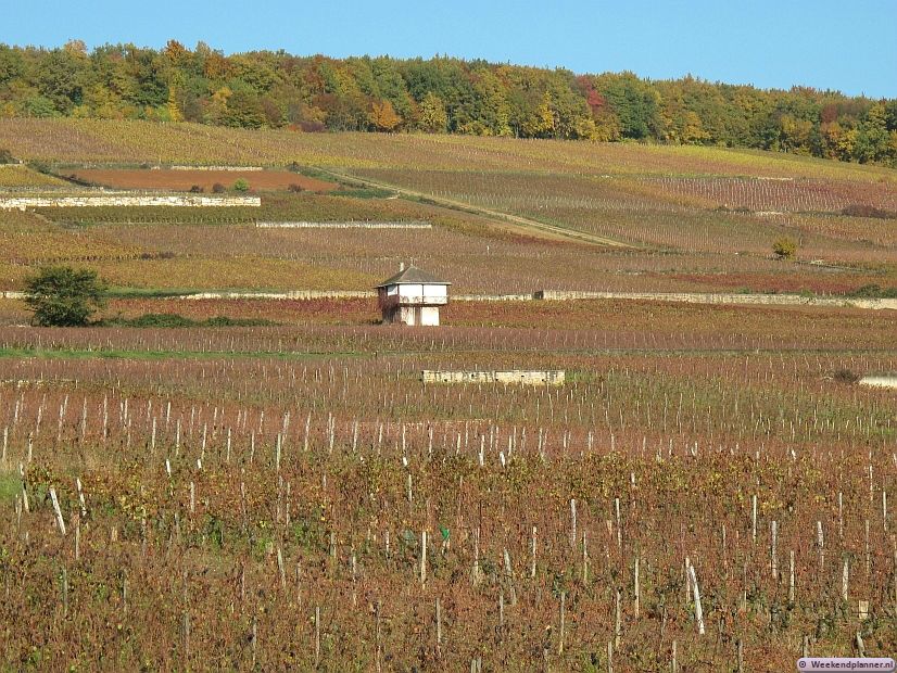 In de herfst is het landschap op zijn mooist en het is er nog steeds niet koud. De wijnroute door de Côte de Nuits is dan heel mooi om te fietsen. Tip: De wijnroute in Bourgondië.