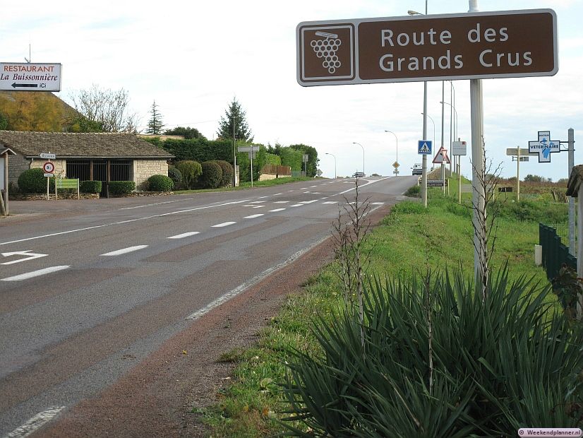 Het wijngebied Côte de Nuits ligt over een lengte van 50 km langs de N74 van Beaune tot Dijon. Hier groeit voornamelijk de bij wijnkenners befaamde druivensoort Pinot Noir. Tip: Wijnproeven in Bourgondië.