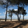 Drunense Duinen