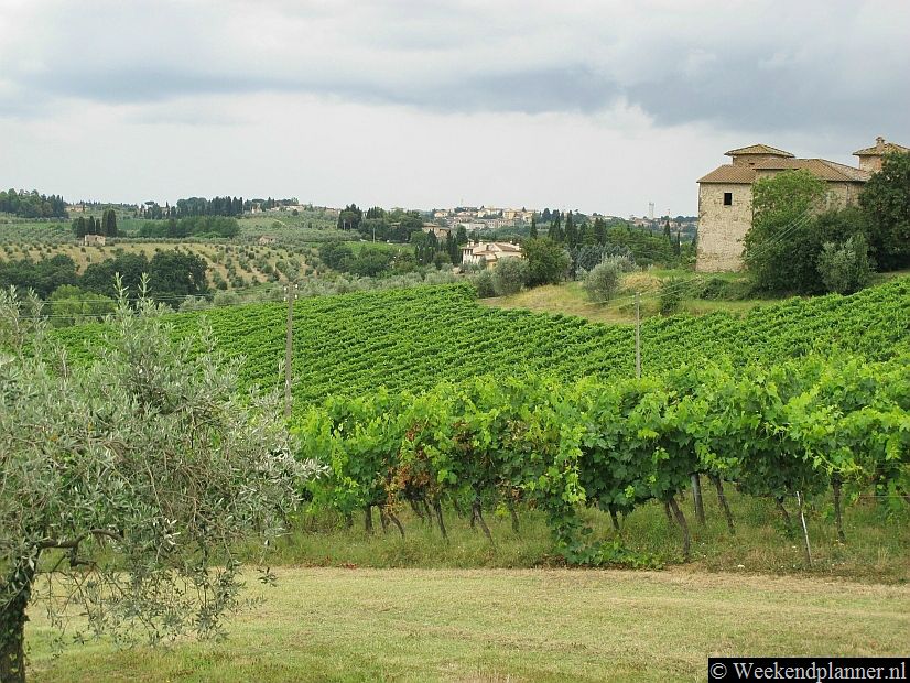 Tussen Florence en Siena ligt het mooiste gedeelte van Toscane met veel mooie dorpen, heuvels, olijfbomen en wijngaarden. De wijnroute van Chianti voert door dit prachtige landschap.Tips: Excursies en wijnproeven in Chianti.