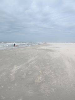 Strand Hoek van Holland