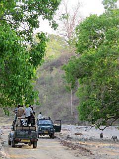 jeepsafari