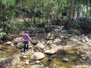 jungle Corbett Falls