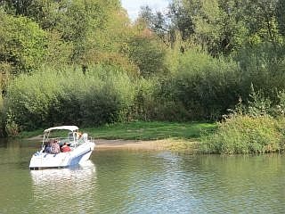 Biesbosch