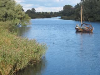 Biesbosch