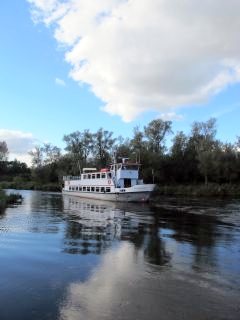 Biesbosch Drimmelen