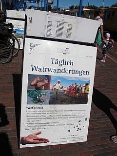 Wadlopen Borkum