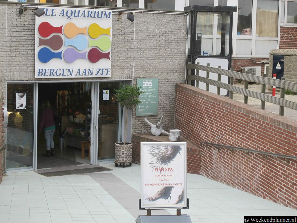 Bergen aan Zee heeft een klein Zee Aquarium waar veel te zien is. Er zijn zo'n 300 verschillende vissoorten. Adres: Van der Wijckplein 16, Bergen aan Zee.