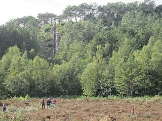 Schoorlse Duinen