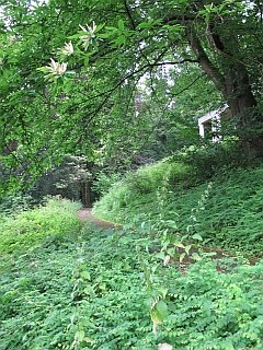Schlossberg Freiburg