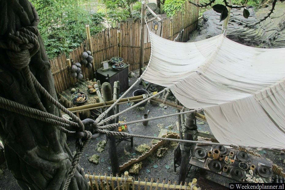 In het boomhuis zie je scenes uit de  Disney film Swiss Family Robinson.Tips: Overnachten in de buurt van Disneyland Parijs.