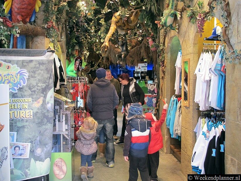 Het Rainforest Café en Boutique heeft als thema het oerwoud. Als je er wat gaat eten zit je dus in de jungle.Tips: Overnachten in de buurt van Disneyland Parijs.