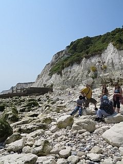 Seven Sisters
