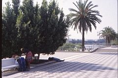 Sevilla