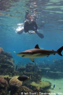 werken in Australië